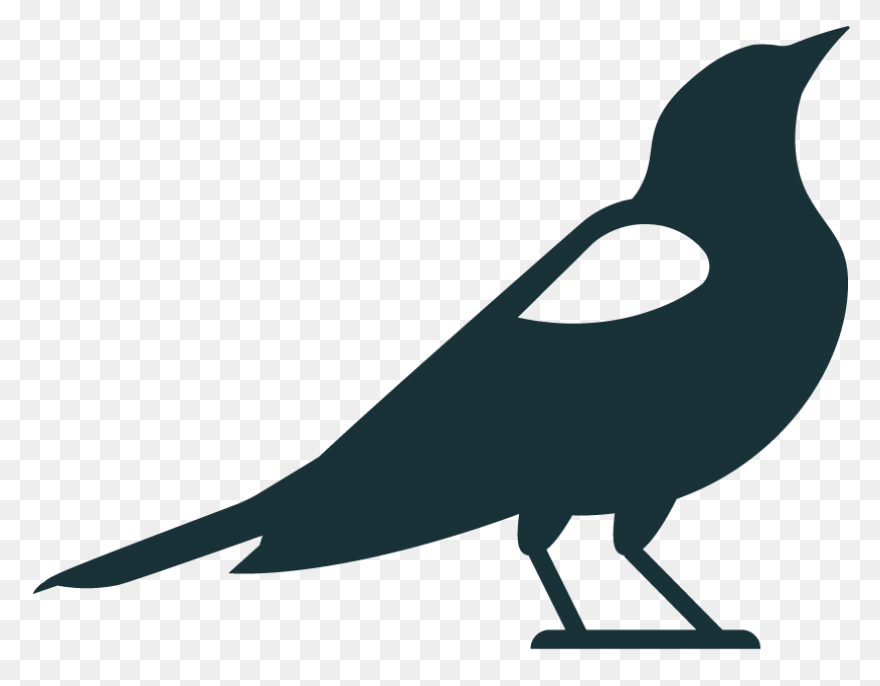 Blackbird Clipart Sparrow - Black B