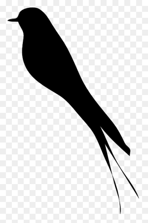 Blackbird Clipart Sparrow - Black B