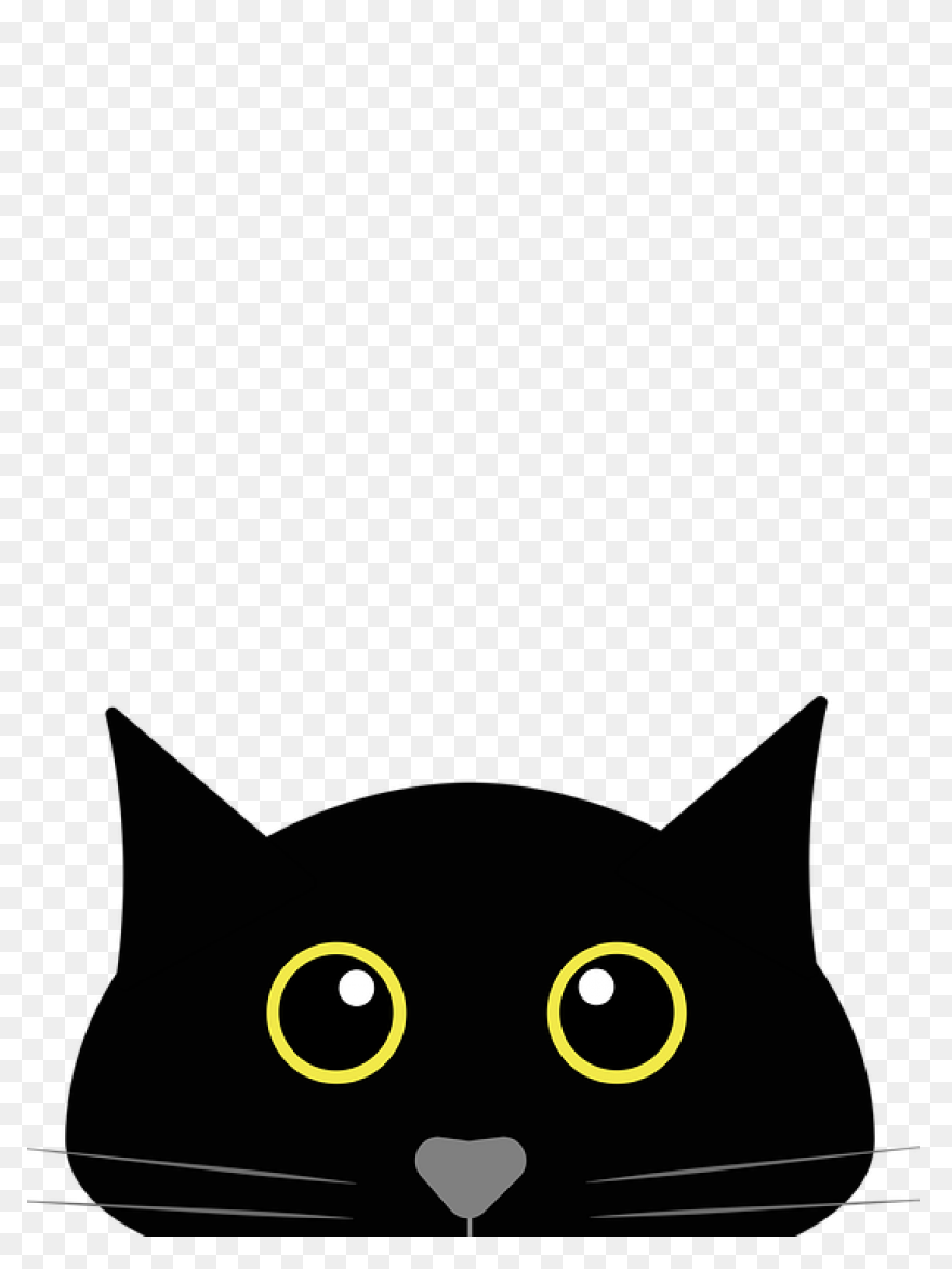 Cat Cat Black And White Black Cat C
