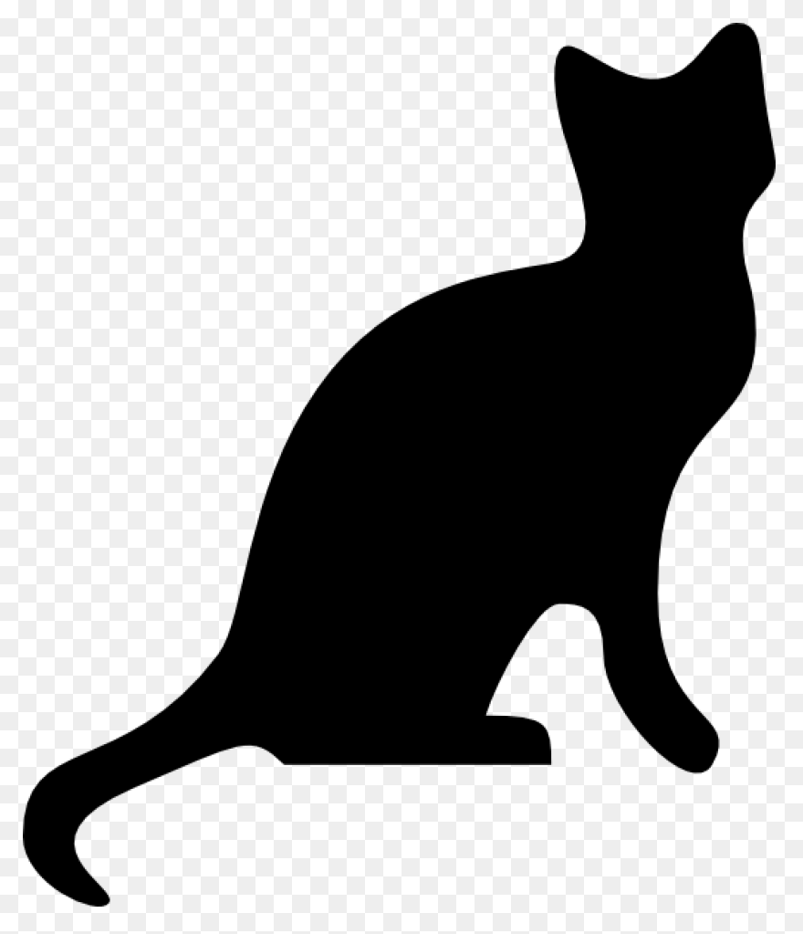 Cat Cat Black And White Black Cat C