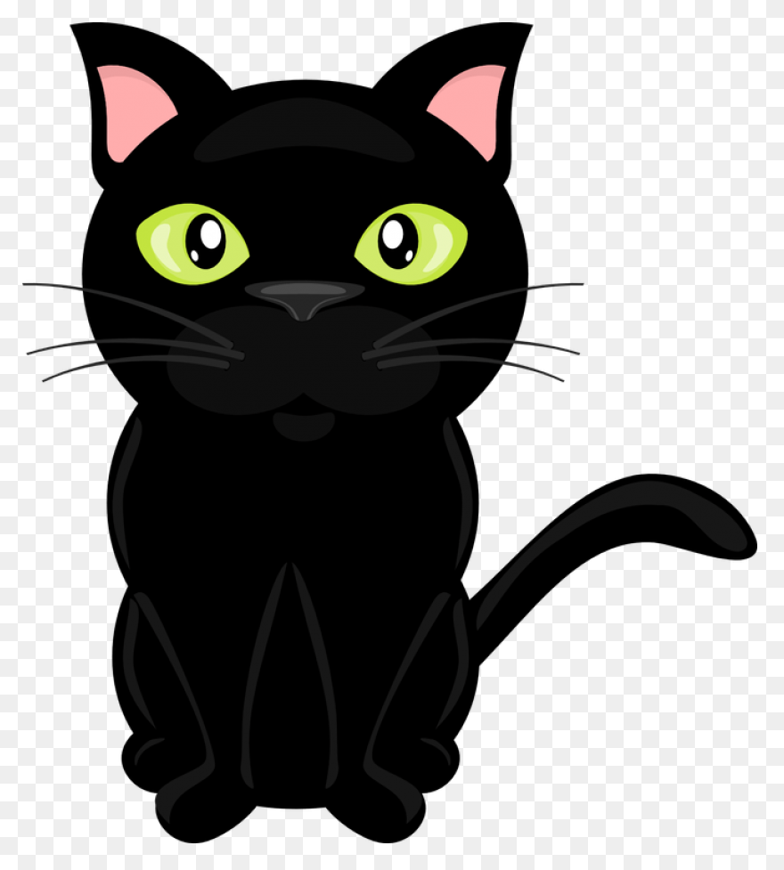 Cat Cat Black And White Black Cat C
