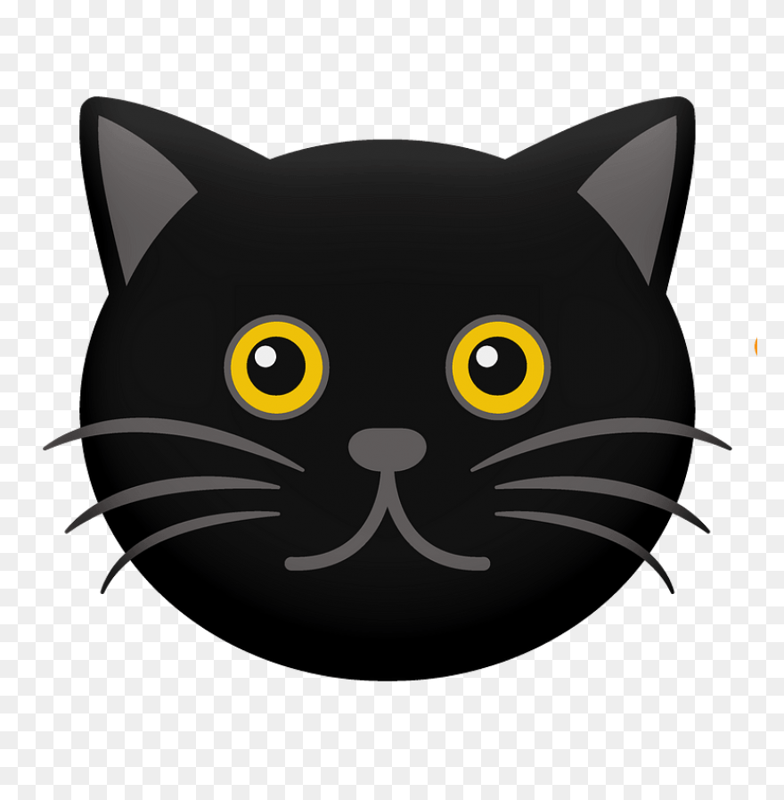 Cat Cat Black And White Black Cat C