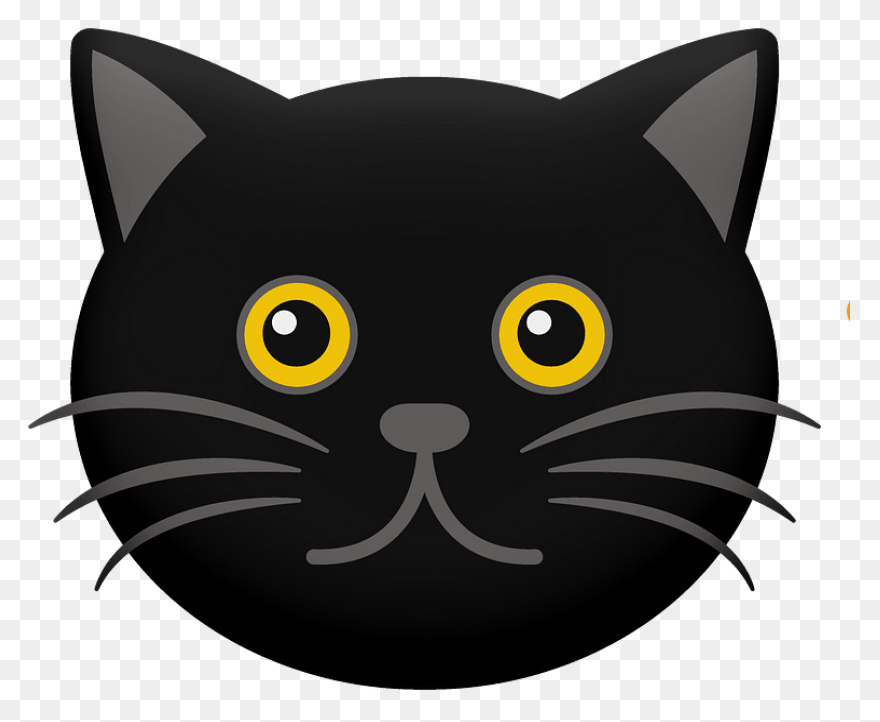 Cat Cat Black And White Black Cat C