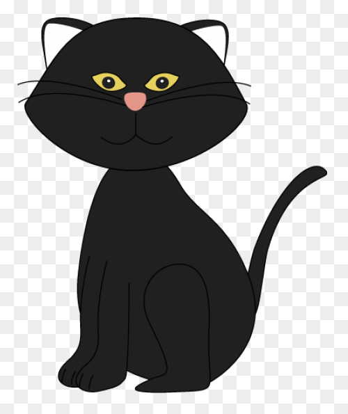 Cat Cat Black And White Black Cat C