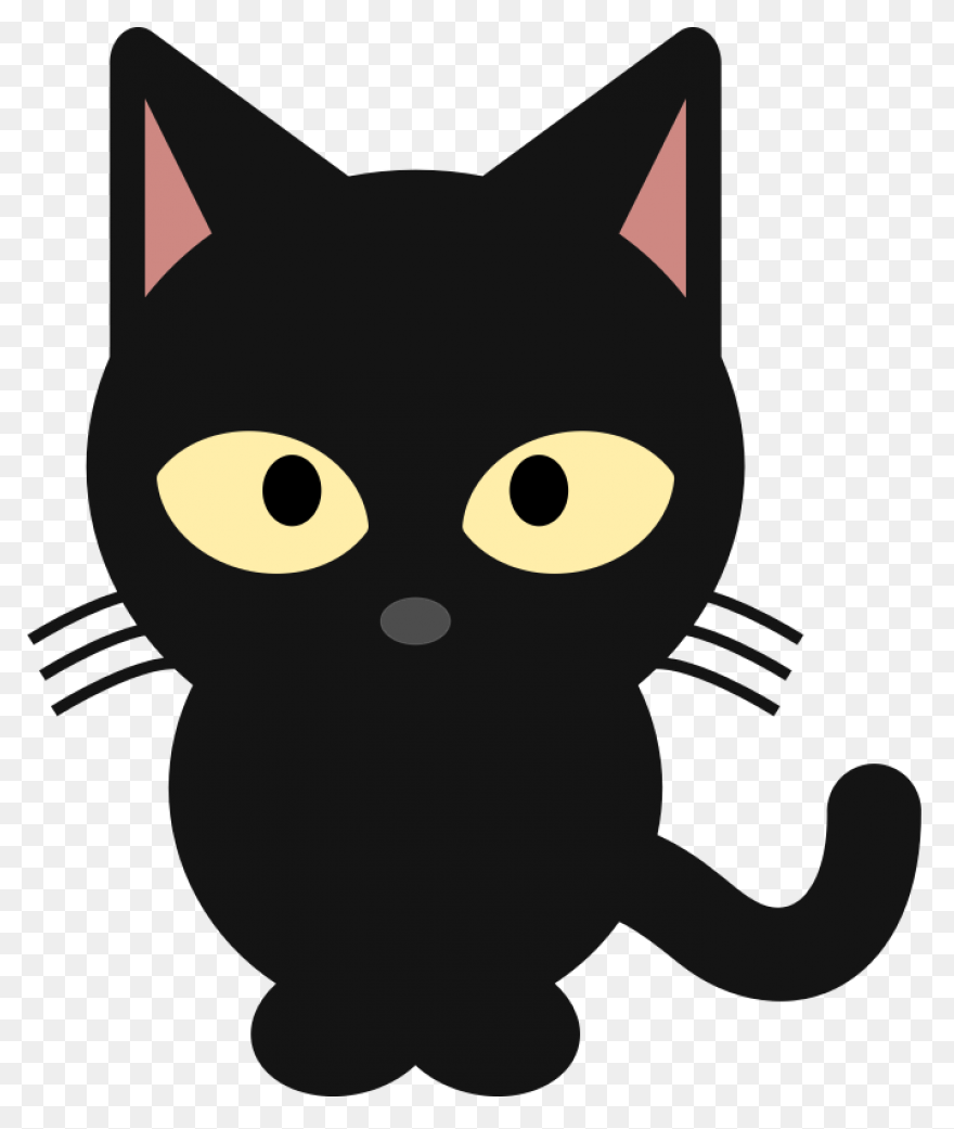 Cat Cat Black And White Black Cat C