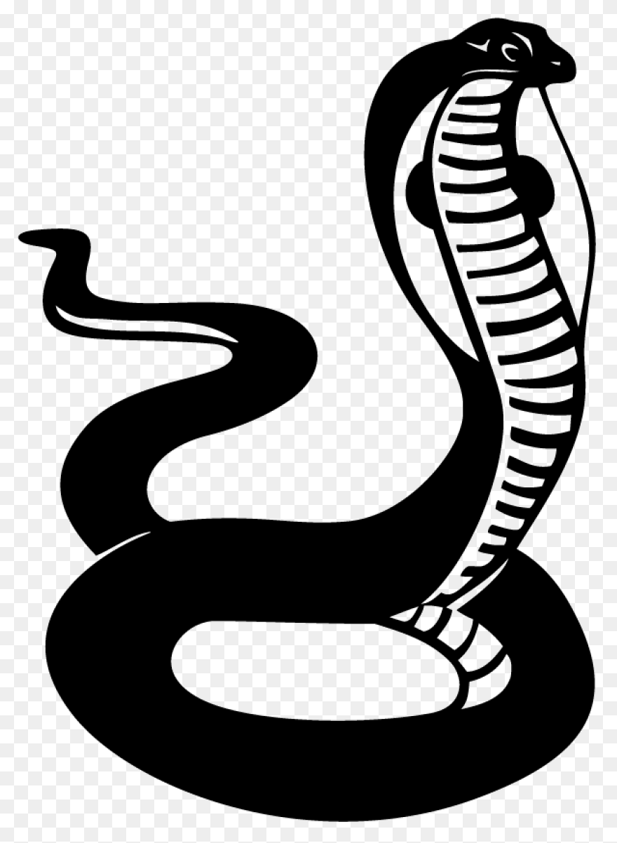 Snake Outline Coloring Pages Snake 