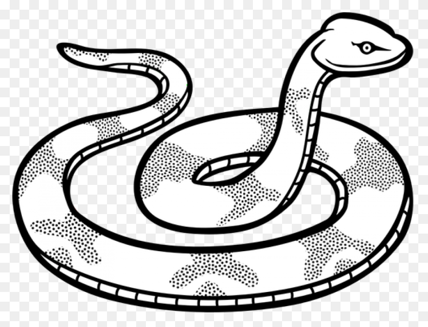 Snake Outline Coloring Pages Snake 