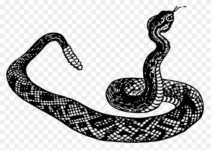 Snake Outline Coloring Pages Snake 