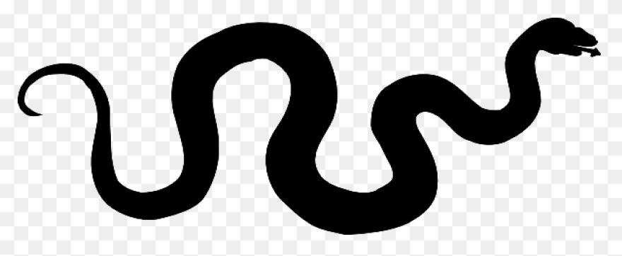 Snake Outline Coloring Pages Snake 