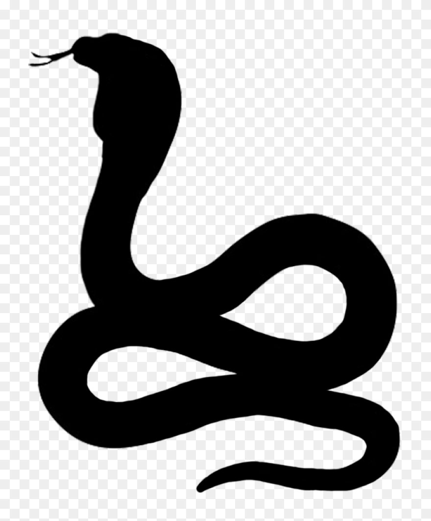 Snake Outline Coloring Pages Snake 