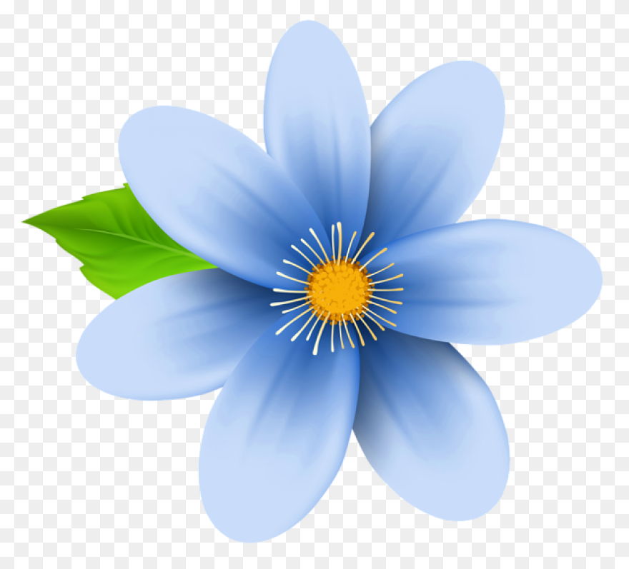 Free Blue Flower Transparent Backgr