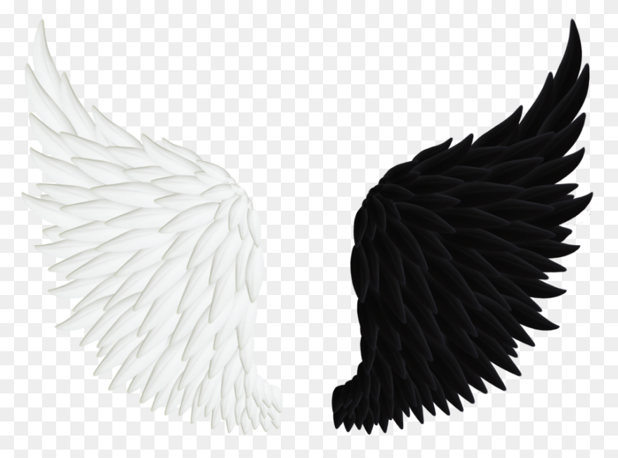 Angel Wings Png 06 By - Black Wings