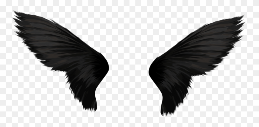 Angel Wings Png 06 By Thy-Darkest-H