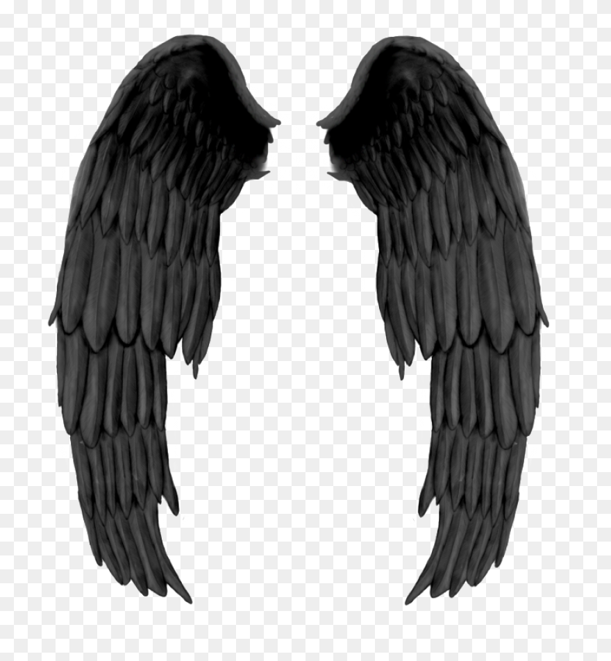 Angel Wings Png 06 By Thy-Darkest-H