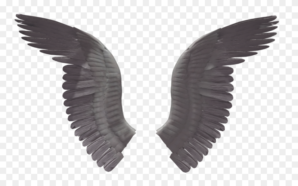 Angel Wings Png 06 By Thy-Darkest-H