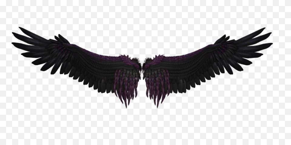 Angel Wings Png 06 By Thy-Darkest-H