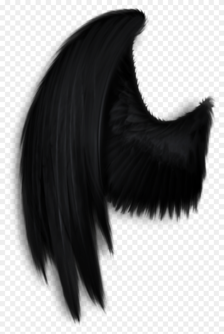 Angel Wings Png 06 By Thy-Darkest-H