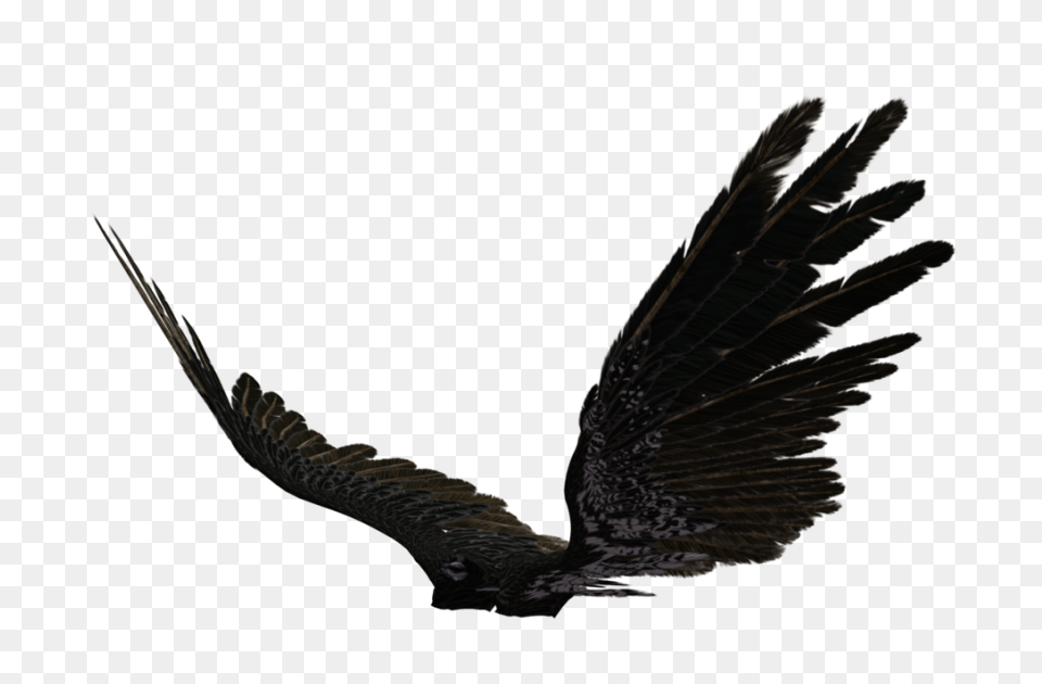 Angel Wings Png 06 By Thy-Darkest-H