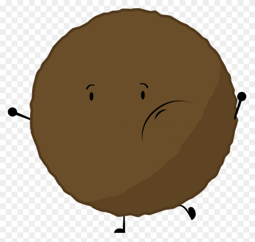 Boulder Bird | Angry Birds Fanon Wi