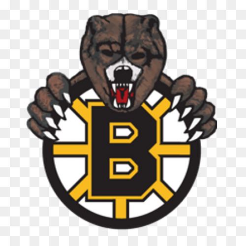 Boston Bruins Nhl Hockey Team Logos