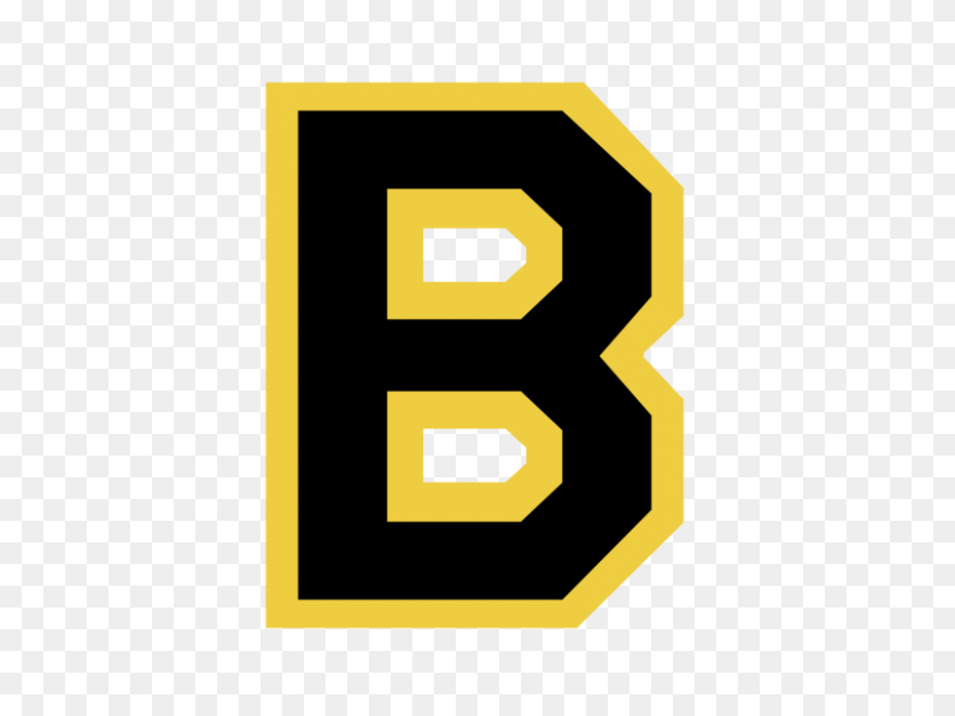 Boston Bruins Nhl Hockey Team Logos