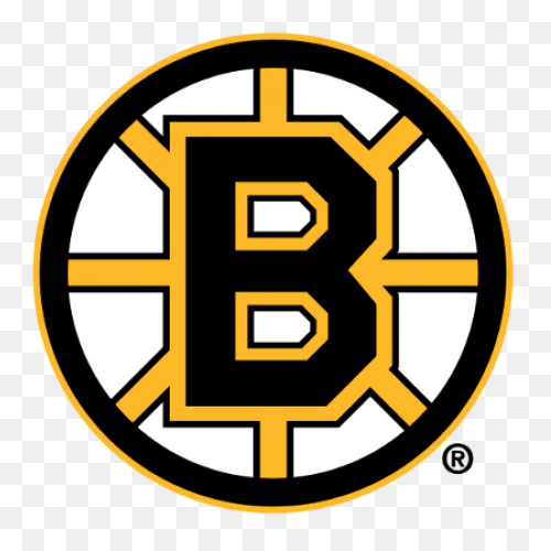 Boston Bruins Nhl Hockey Team Logos