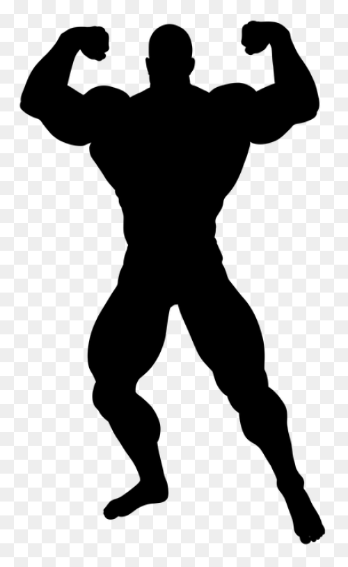 Bodybuilder, Bodybuilding, Fitness,