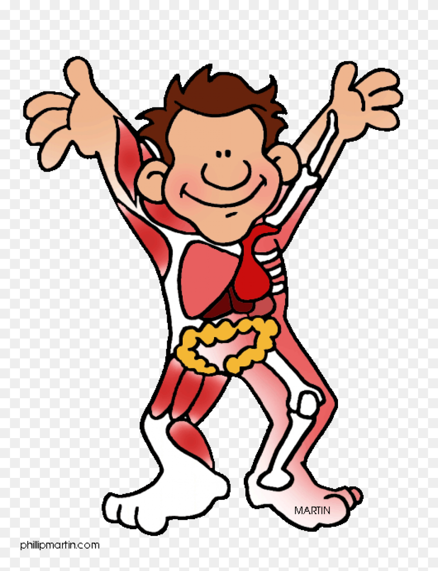 Human Body Clip Art By Phillip Mart