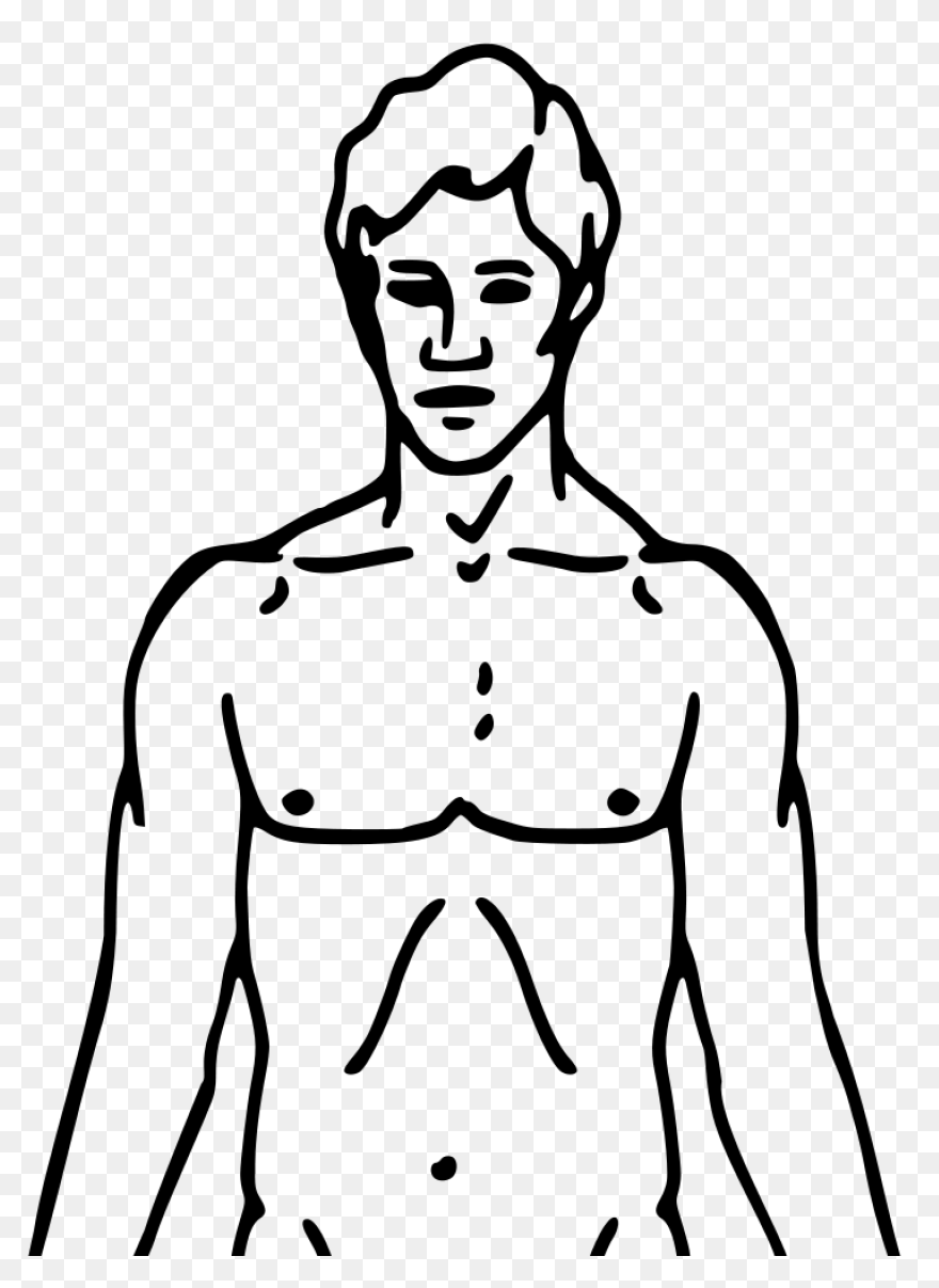 Human Body Clip Art By Phillip Mart