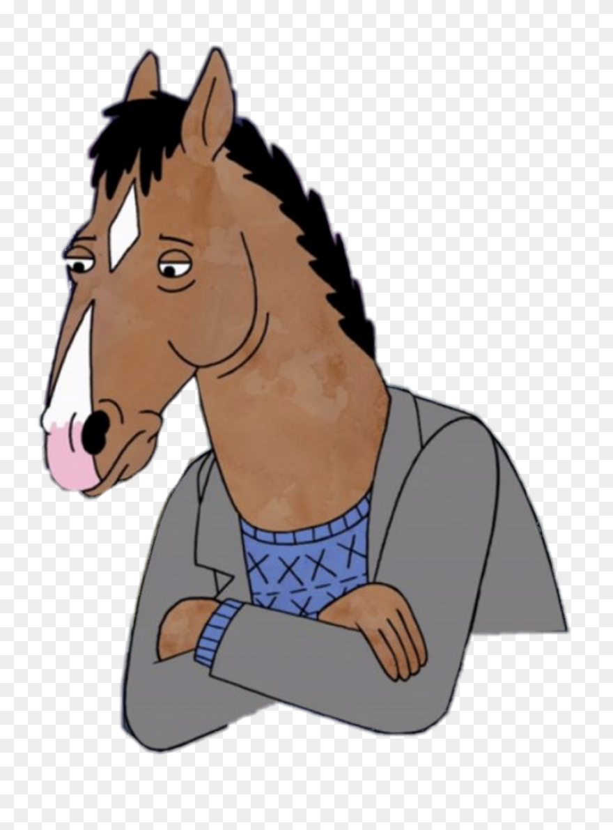 Bojack Horseman By Captaindn On 