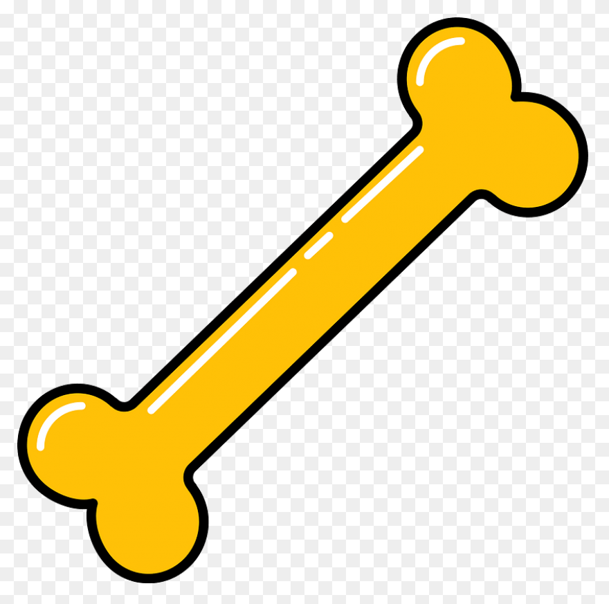 Bone Clipart. Free Download .png - Bone