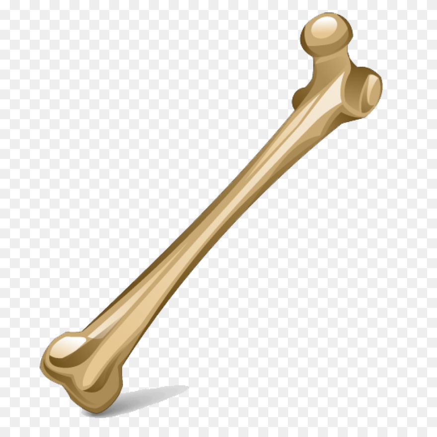 Bone Clipart. Free Download Transpa