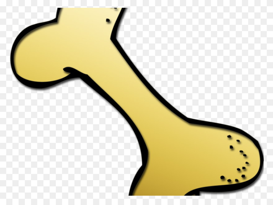 Bone Clipart. Free Download Transpa