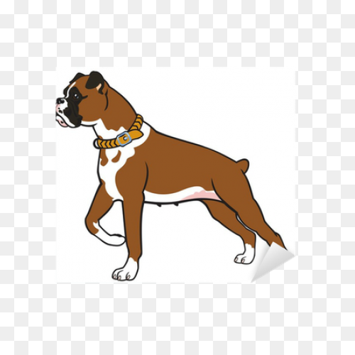 Boxer Vector & Templates | Ai, 