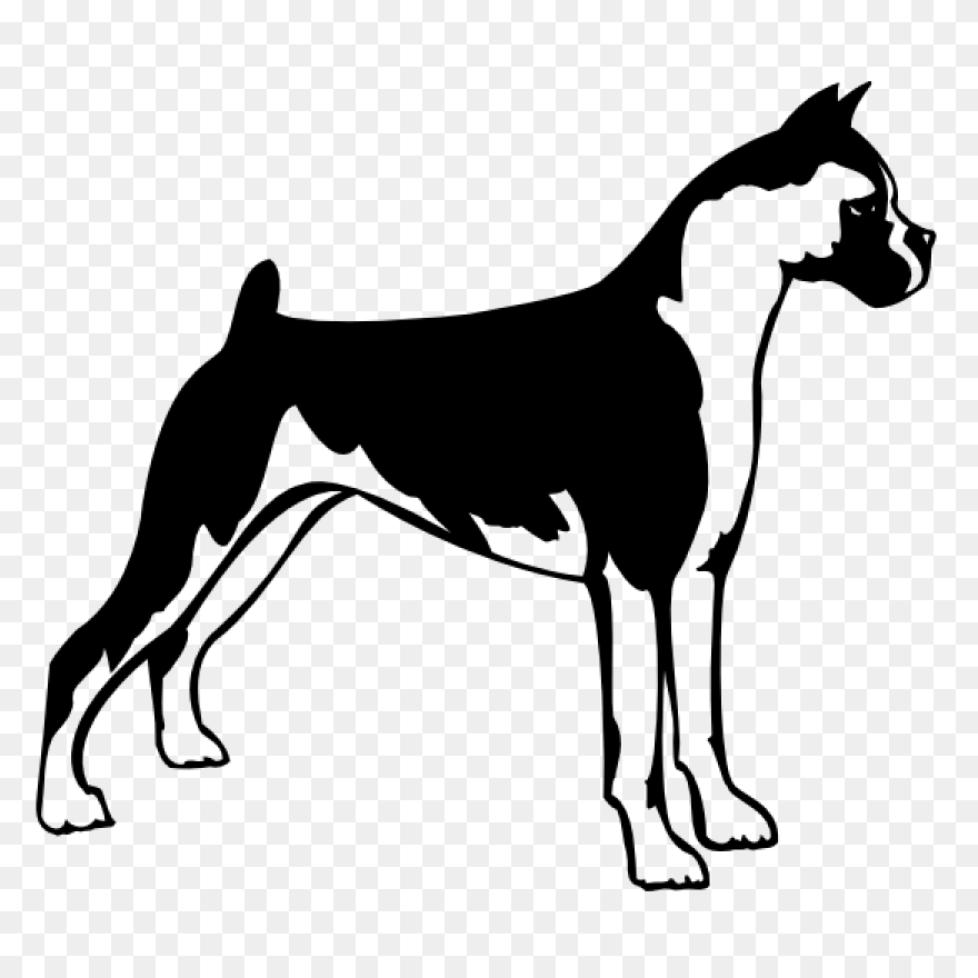 Boxer Vector & Templates | Ai, 
