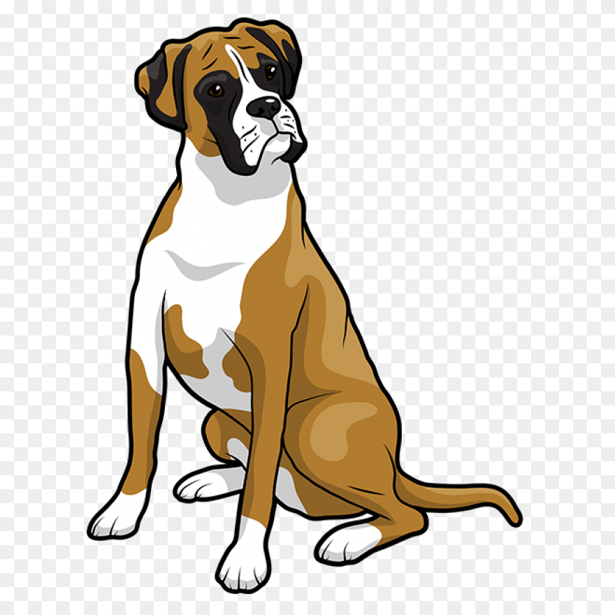 Boxer Vector & Templates | Ai, 