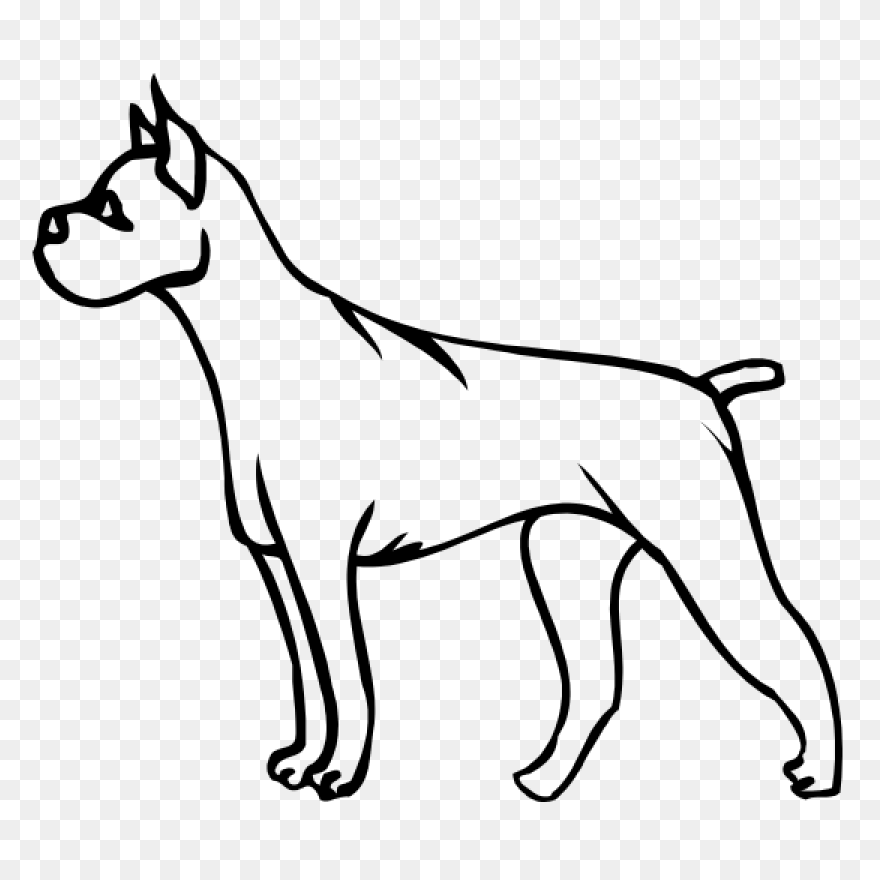 Boxer Vector & Templates | Ai, 