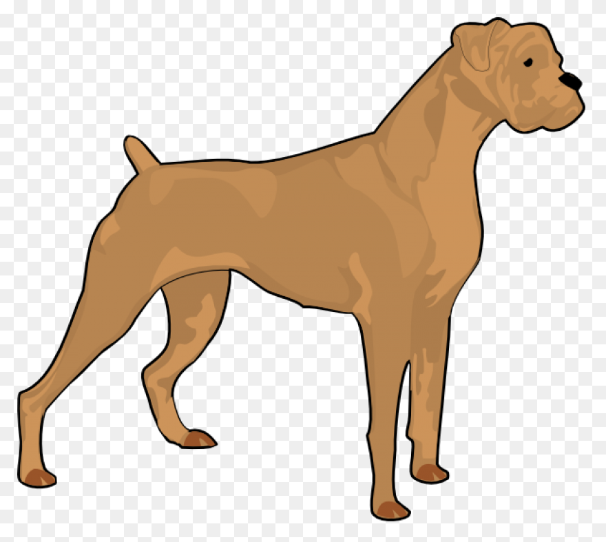 Boxer Vector & Templates | Ai, 
