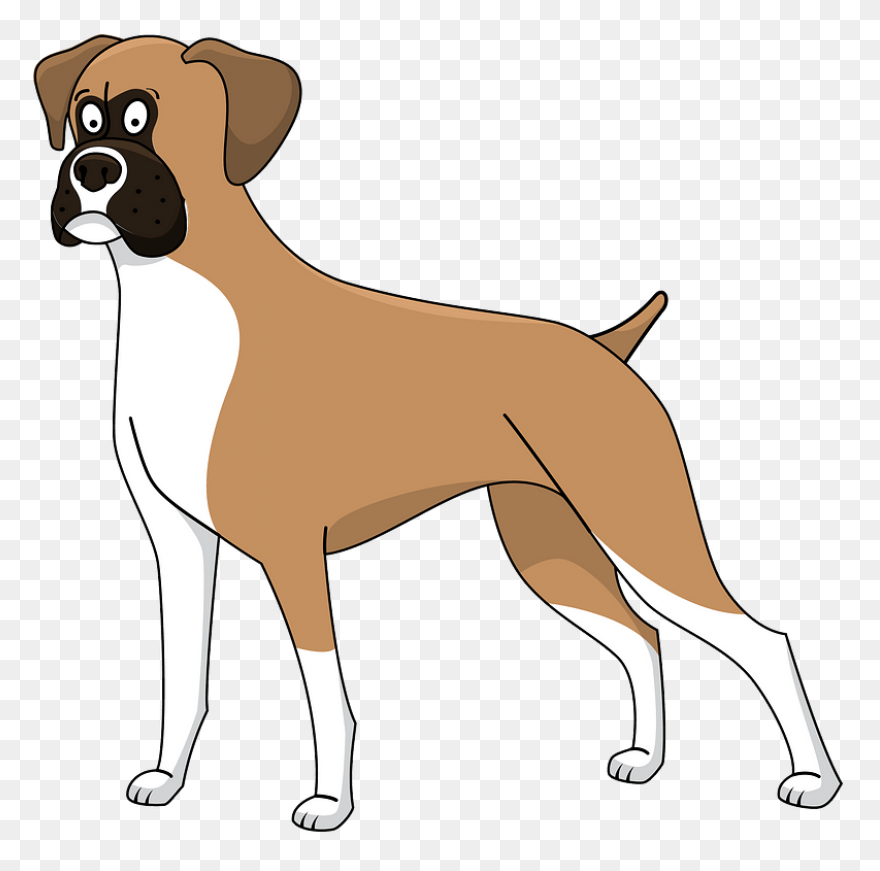 Boxer Vector & Templates | Ai, 