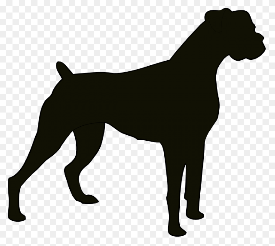 Pin On Cougar Cutter / - Boxer