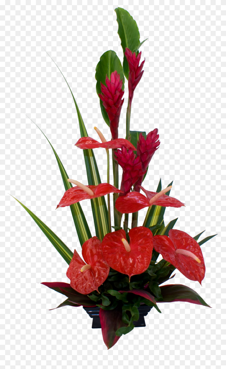 Spring Bouquet Png Clipart | Spring