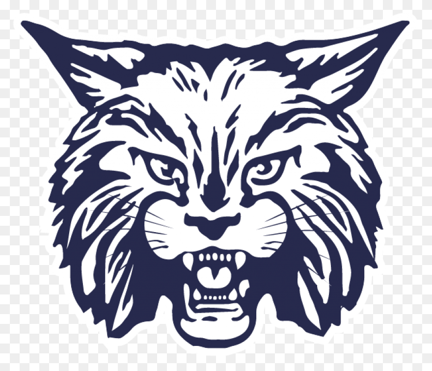 Bobcat Clipart. Free Download Trans