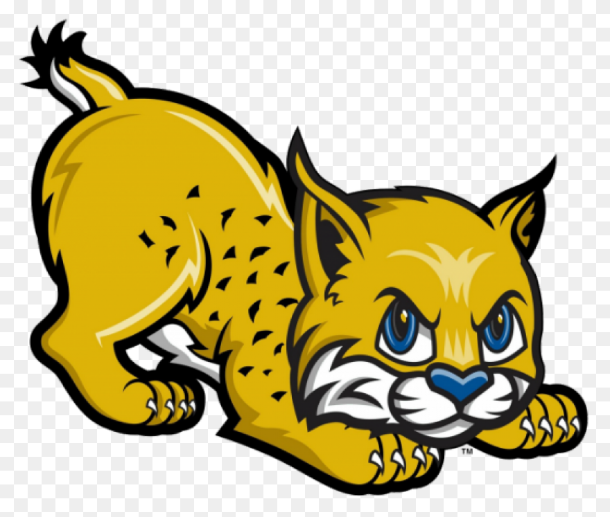Bobcat Clipart. Free Download Trans