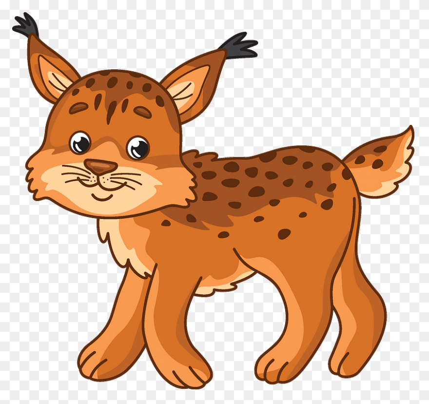 Bobcat Clipart. Free Download .png - Bobcat