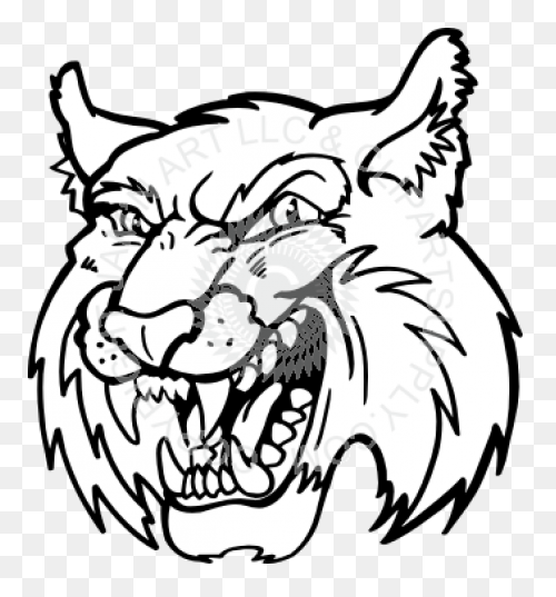 Bobcat Clipart. Free Download Trans