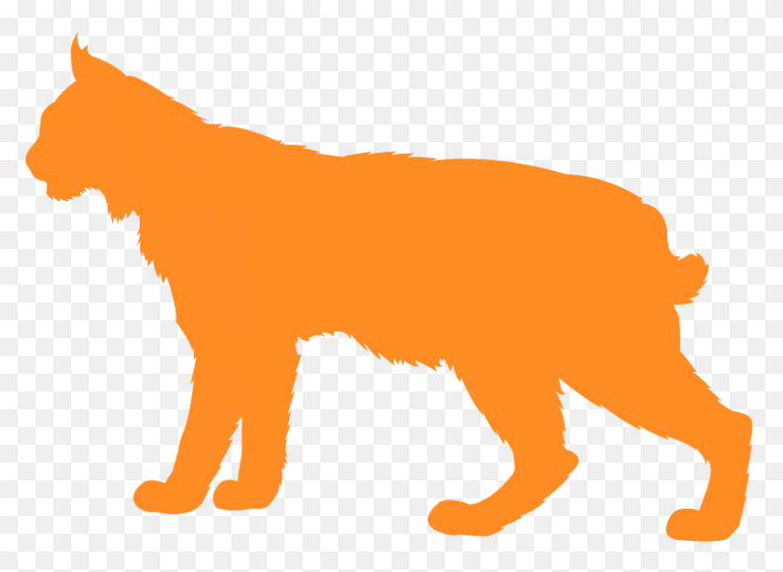 Bobcat Clipart. Free Download Trans