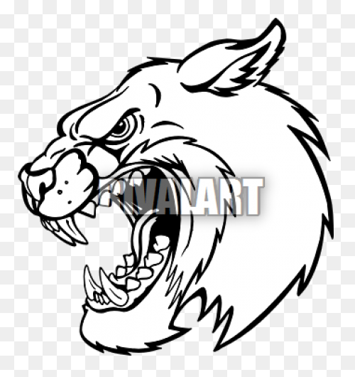 Bobcat Head Clipart Bobcat (340X361) - Bobcat