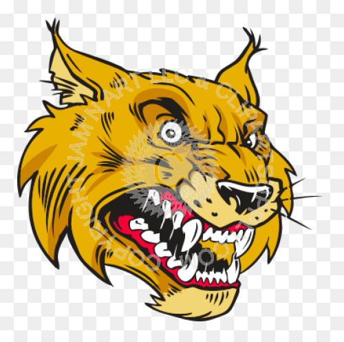 Bobcat Clipart. Free Download Trans