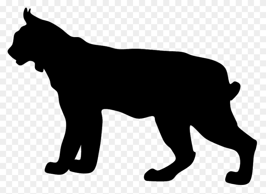 Bobcat Clipart. Free Download Trans