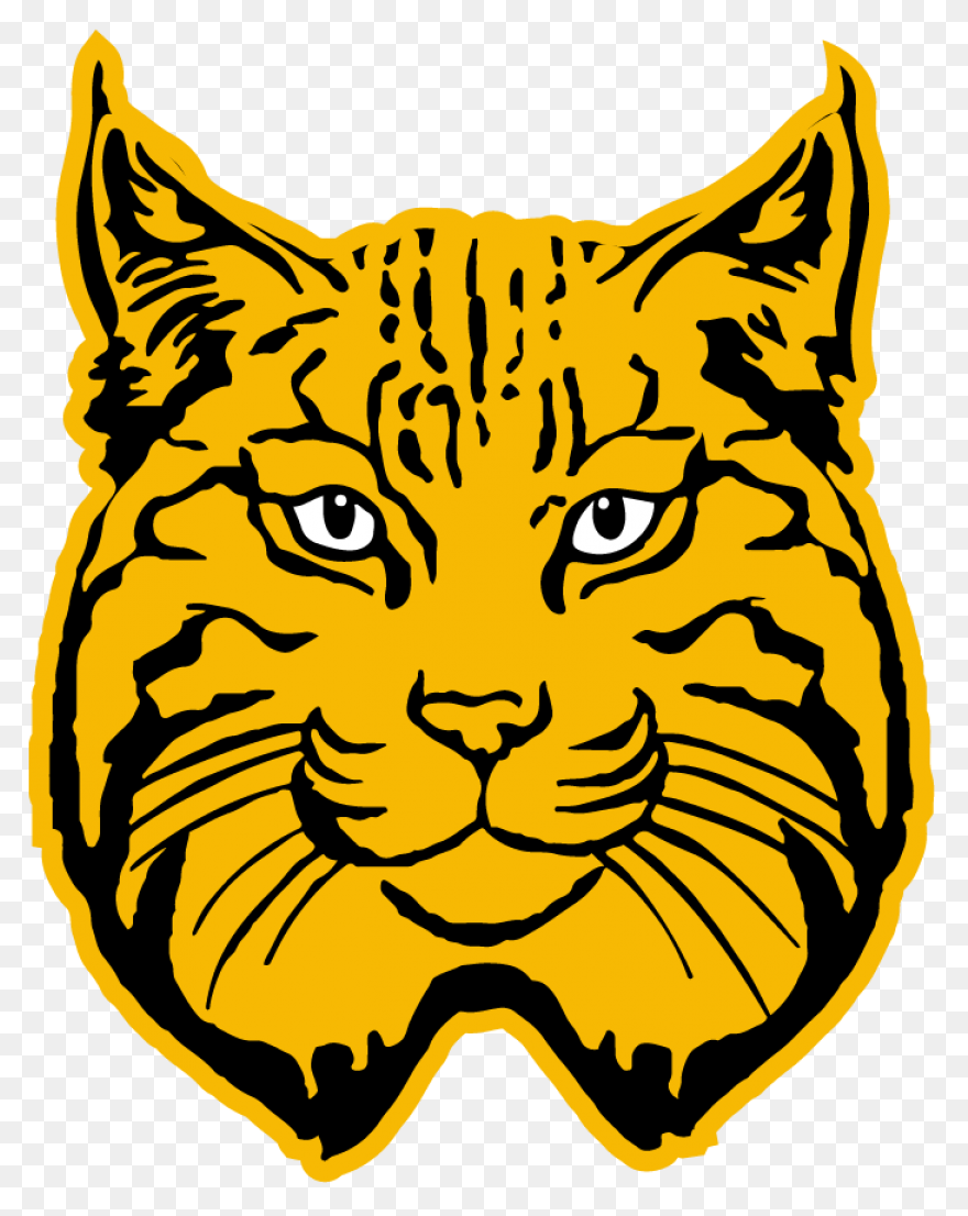 Bobcat Clipart. Free Download Trans